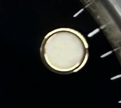 S010 · Native position detail