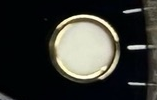 S010 · Native position detail