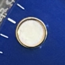P15 · Native position detail