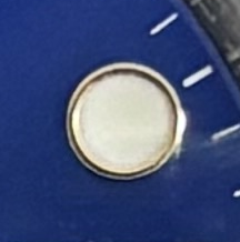 P15 · Native position detail