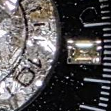 S001 · Native detail
