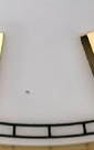 S003 · Native position detail