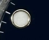 S006 · Native position detail