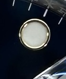S006 · Native position detail