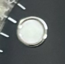 P15 · Native position detail