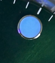 S019 · Native position detail