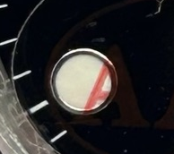 S007 · Native position detail