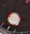 S001 · Native position detail